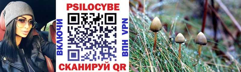 Галлюциногенные грибы MAGIC MUSHROOMS  Лебедянь 