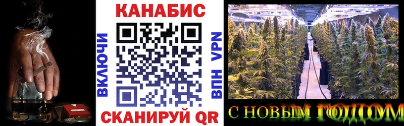 цена   Лебедянь  Канабис ГИДРОПОН 